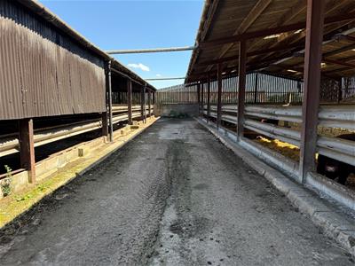 Picture 11